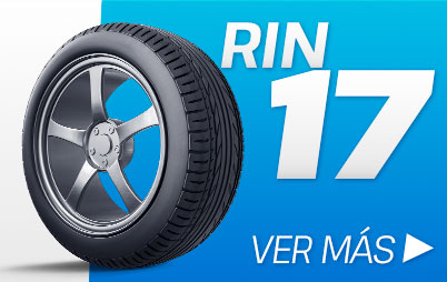 rin17